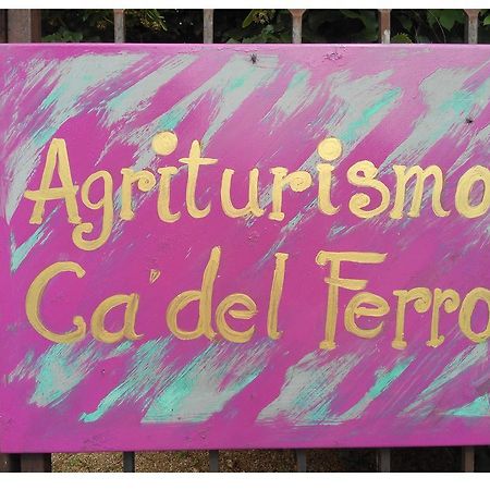 Agriturismo Ca' Del Ferro Zevio Eksteriør bilde