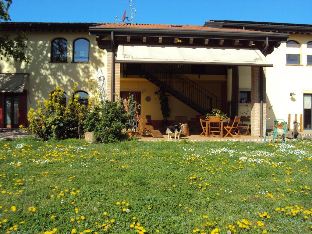 Agriturismo Ca' Del Ferro Zevio Eksteriør bilde